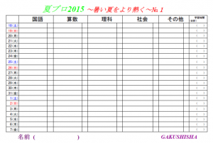 夏プロ計画表